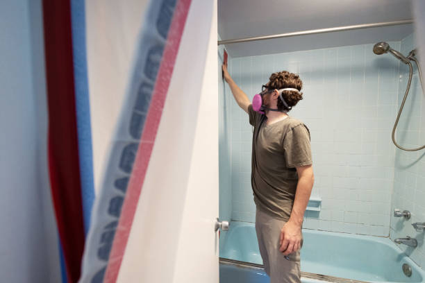 Best Environmental Consulting for Mold Prevention  in Nsfield Center, MA