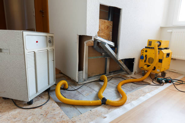 Best Post-Remediation Verification Testing  in Nsfield Center, MA